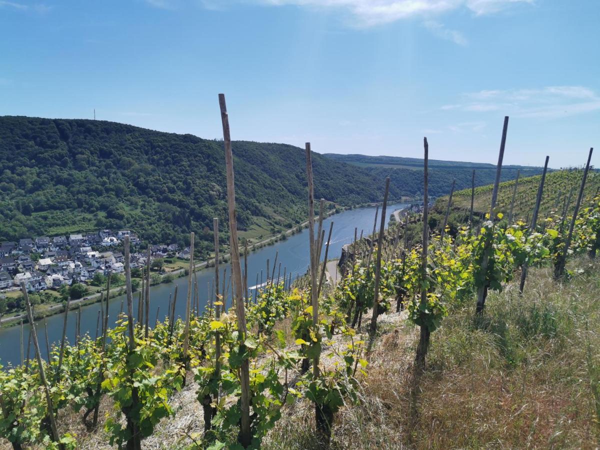 Auszeit Rhein-Mosel Apartment Waldesch Exterior photo